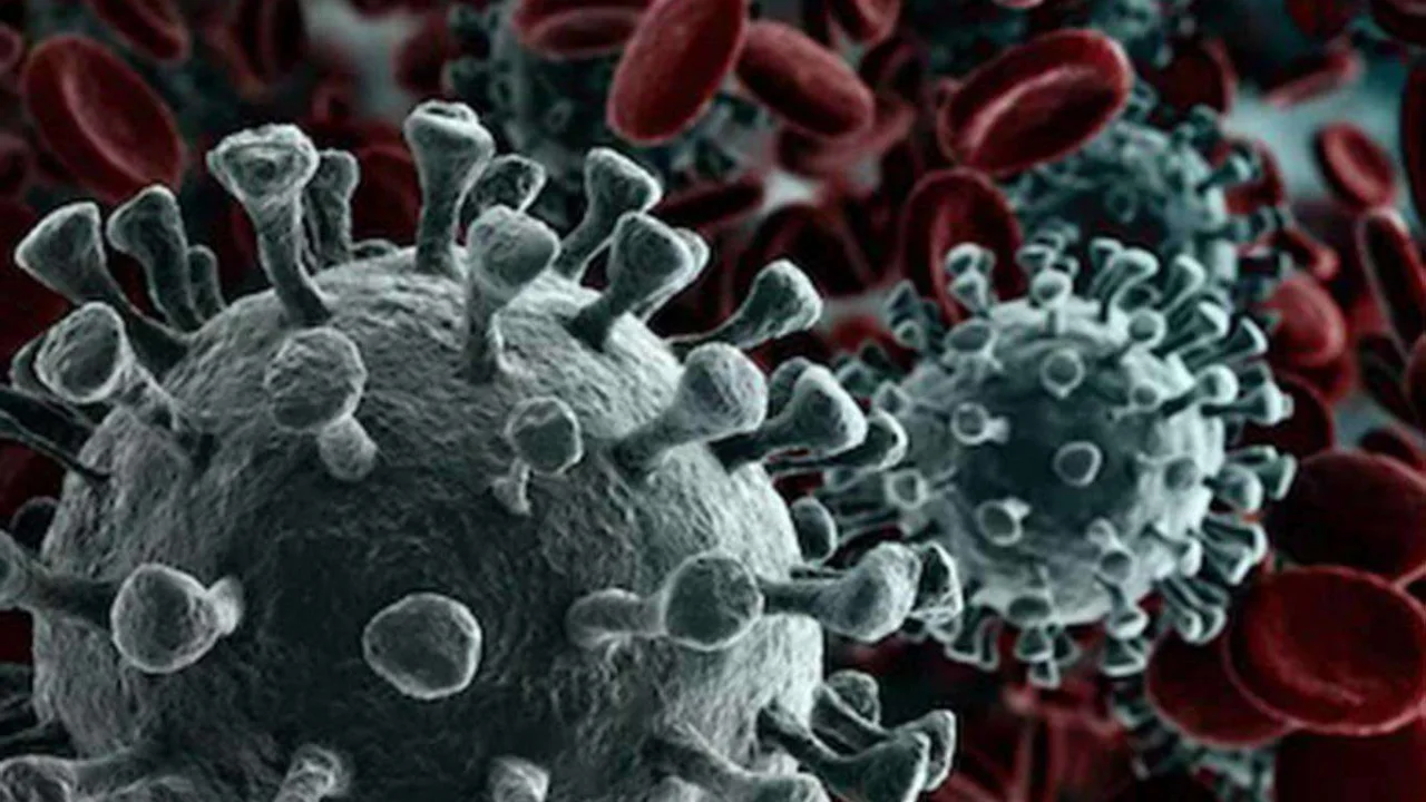 Coronavirus'ten korunmada kişisel önlemler büyük önem taşıyor