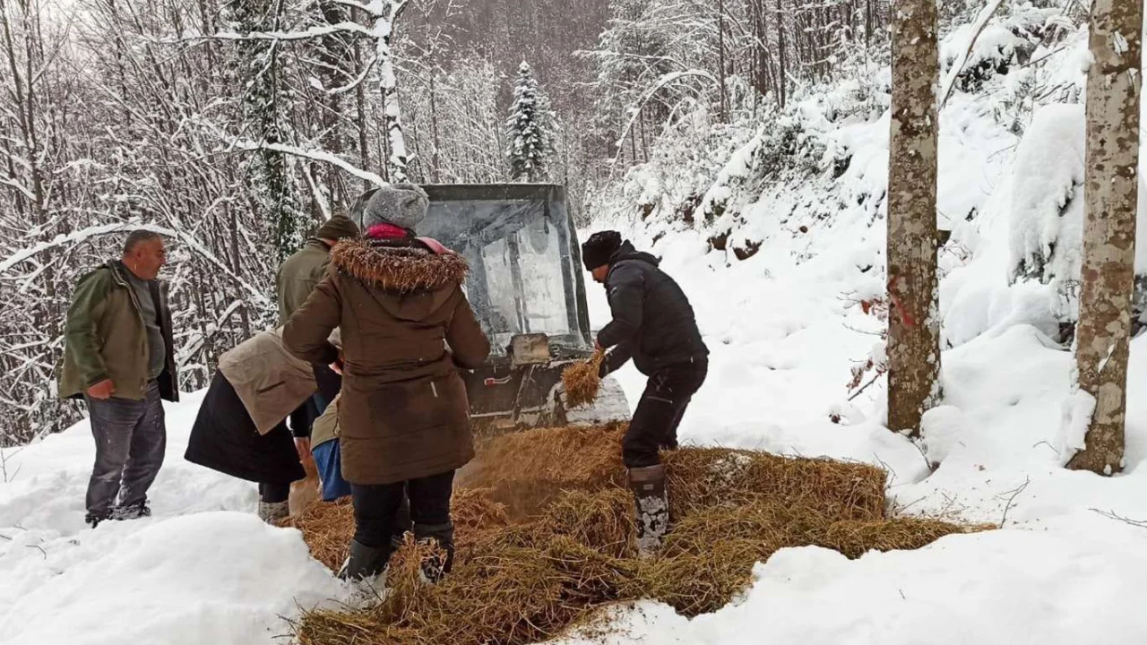 Düzce'de yaban hayvanlar için doğaya yem bırakıldı