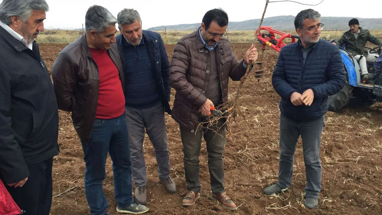 Siirt'te fıstıktan sonra badem ve ceviz yetiştiriciliği yaygınlaşıyor