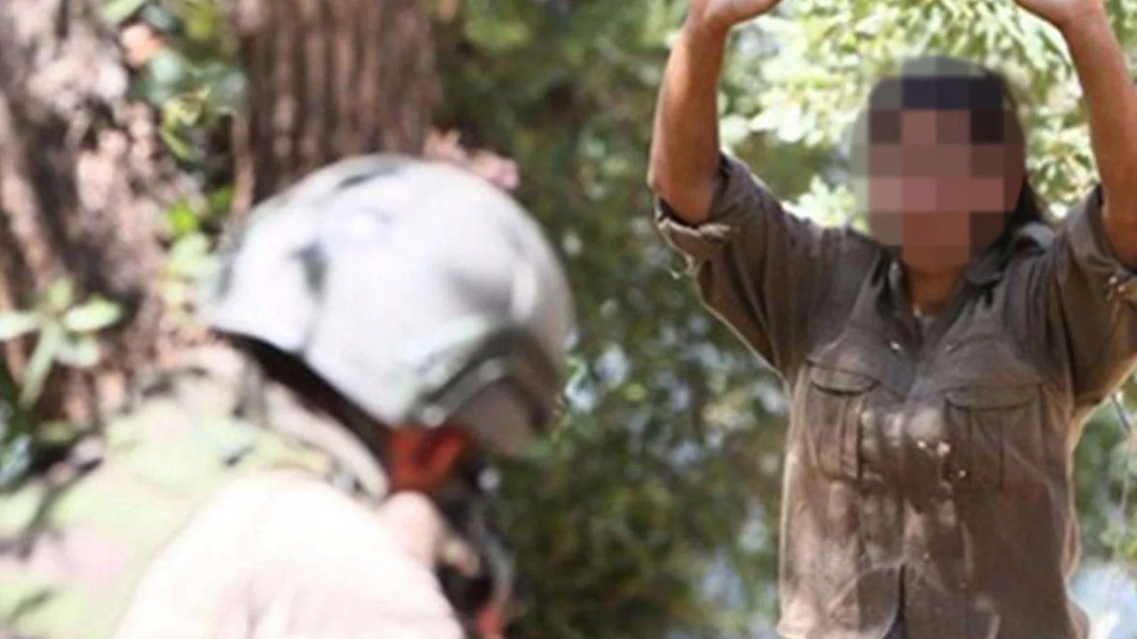 Van'da bir PKK mensubu teslim oldu