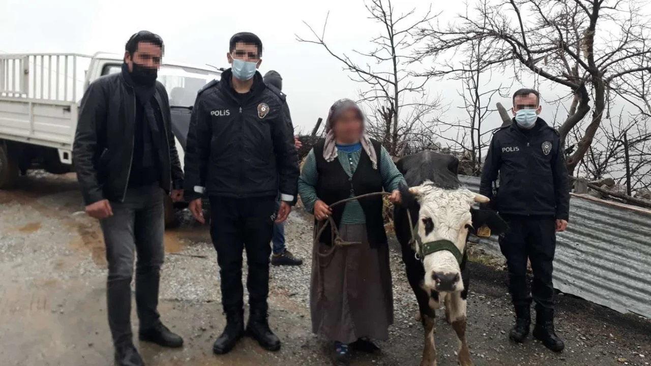 Yaşlı kadının geçim kaynağı olan ineği çalan hırsızlar yakalandı