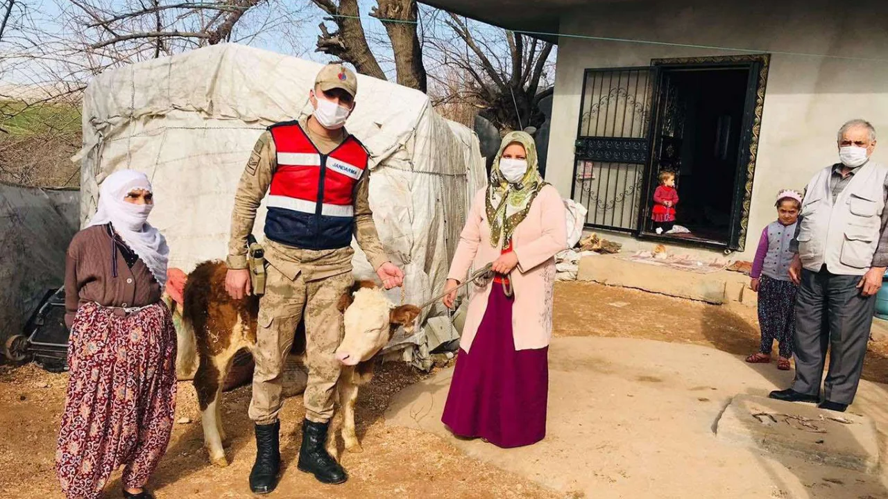 Adıyaman'da çalınan 2 büyükbaş bulunarak sahiplerine teslim edildi