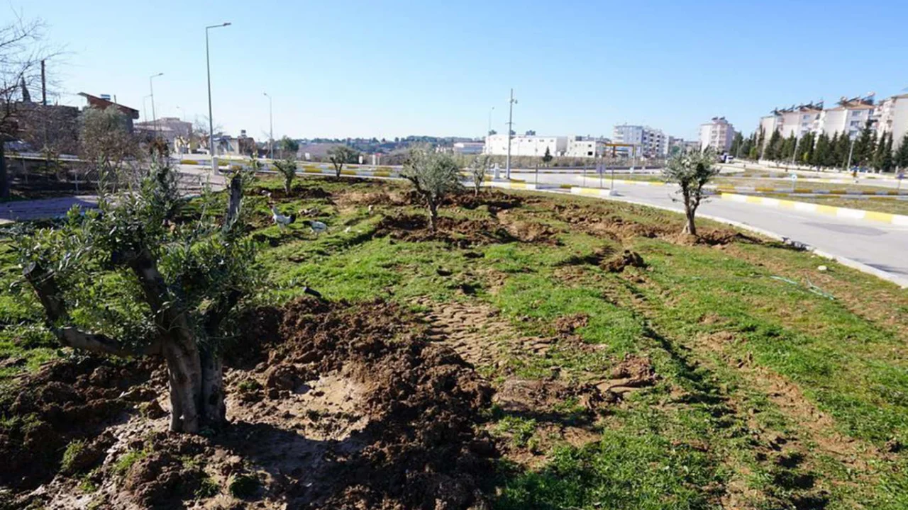 Adıyaman'da kavşaklarda ağaçlandırma çalışmaları devam ediyor