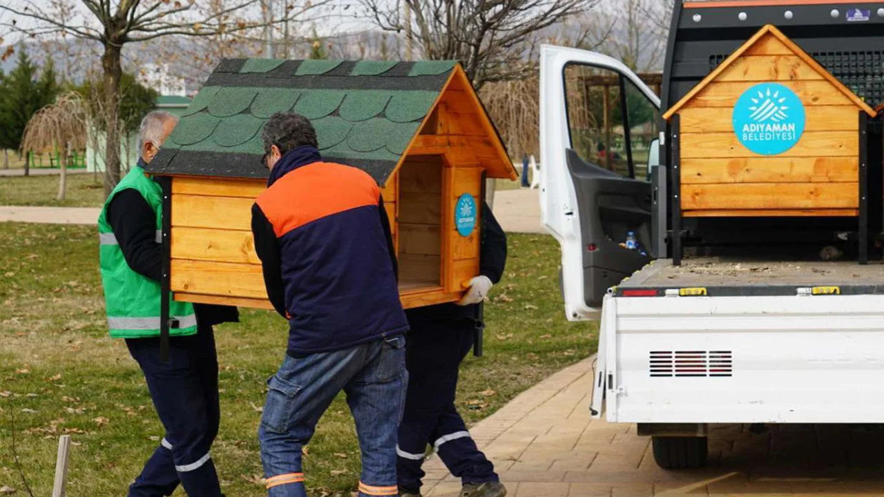 Adıyaman'da sokak hayvanları için kulübe yaptırıldı