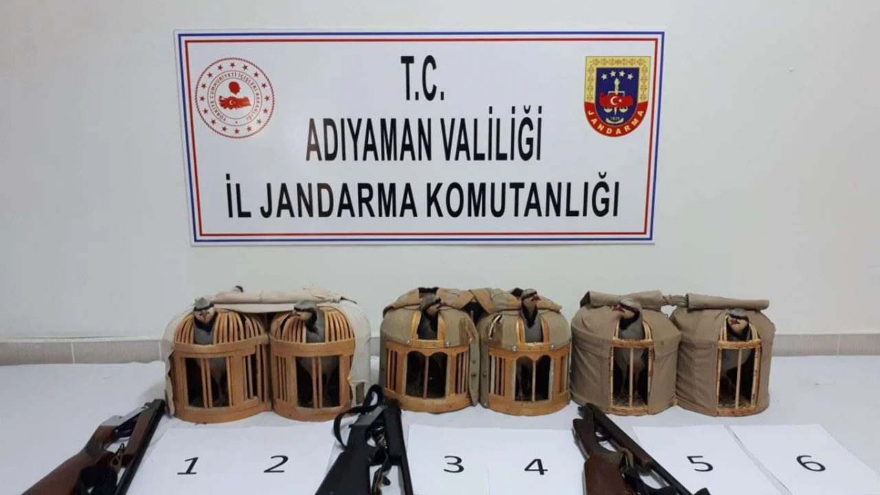 Adıyaman'da av tüfeği ve avlanan kekliklere el konuldu