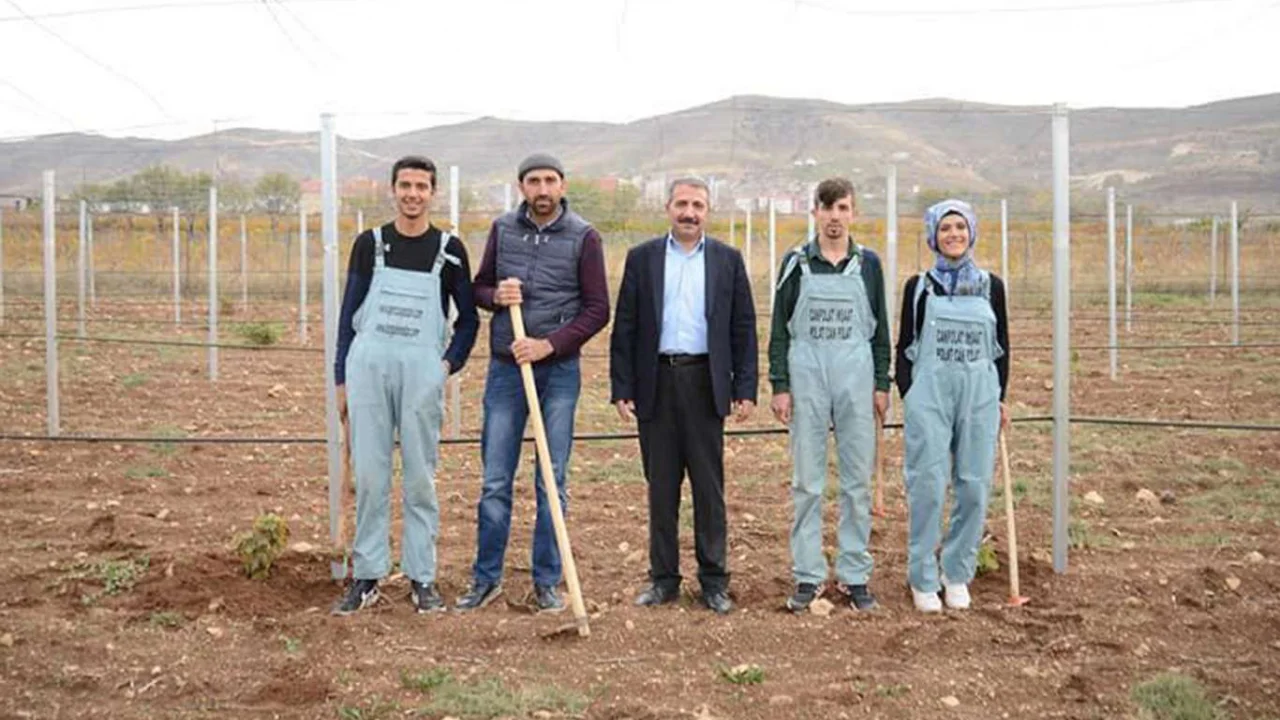 Gercüş’te 900 genç meslek sahibi oldu