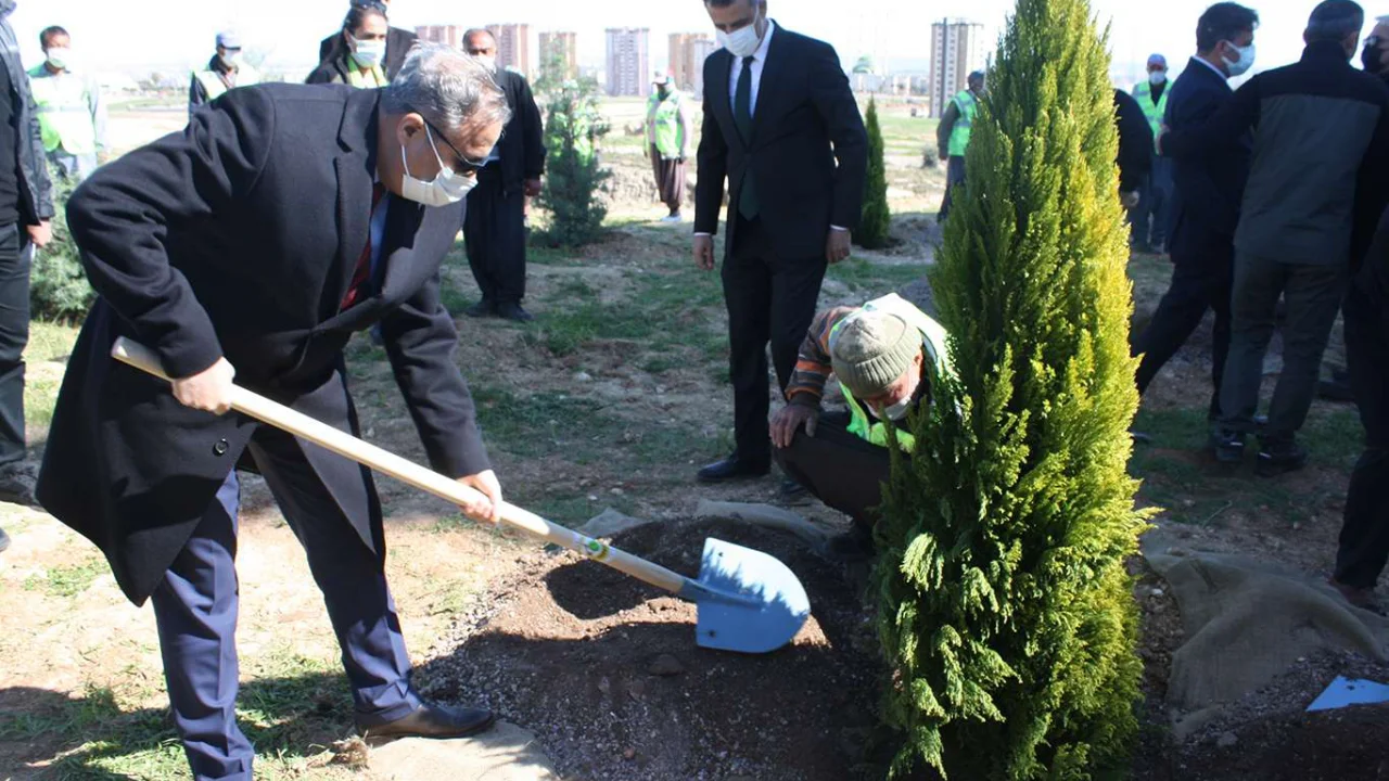 Mersin'de yıl içerisinde bir milyon 700 bin fidan dikildi