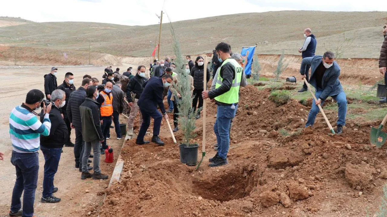 Siirt'te binlerce fidan toprakla buluştu