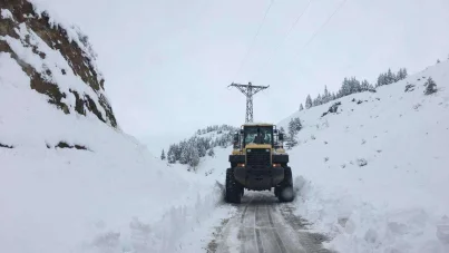 Elazığ'da kar yağışı nedeniyle 90 köy yolu ulaşıma kapandı