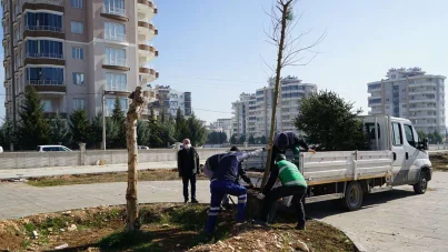Adıyaman Belediyesi ağaçlandırma çalışmalarına devam ediyor