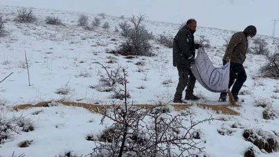 Elâzığ'da yaban hayvanları için dağlara yem bırakıldı