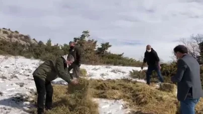 Elâzığ'da yaban hayvanları için doğaya yem bırakıldı