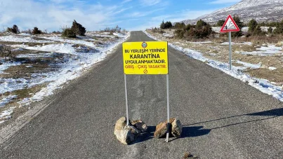 Lice'de bir mahalle karantinaya alındı