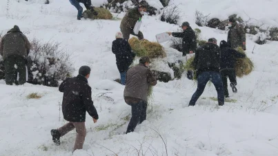 Malatya'da yaban hayvanları için doğaya yiyecek bırakıldı