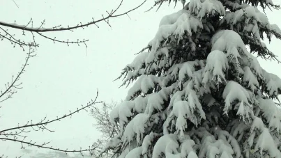 Meteoroloji'den Güneydoğu için kar yağışı uyarısı