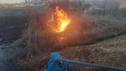 Yüzlerce kuş çeşidine ev sahipliği yapan sazlık alan ateşe verildi