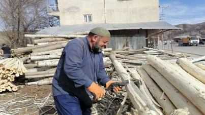 Kavak ağacı kabuklarını soyarak aile bütçelerine katkıda bulunuyorlar